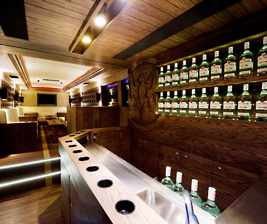 Party Bus