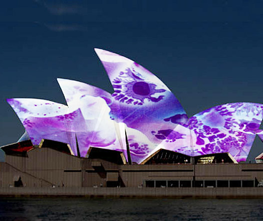 Smart Light Sydney Festival