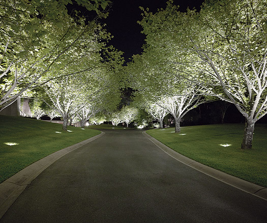 Light on Landscape: Collaborative Lighting