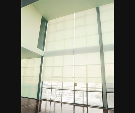 Logic Roller Blinds