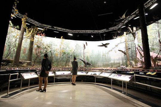Dinosaurs: Dawn to Extinction | Indesign Live: Interior Design and ...