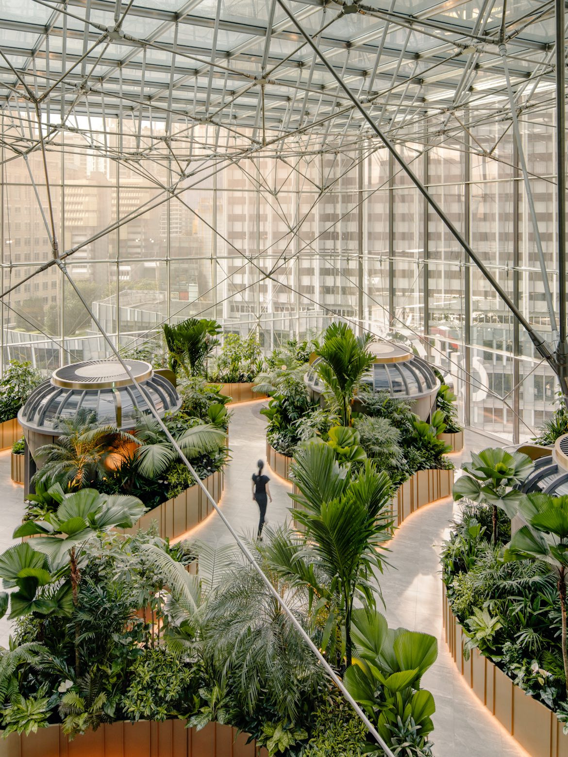 Birds eye view of the jungle atrium in Citi Wealth Hub