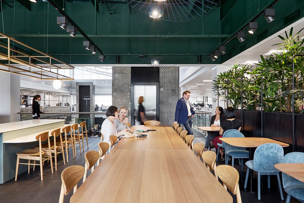 Retail roll call David Jones and Country Road Group HQ IndesignLive