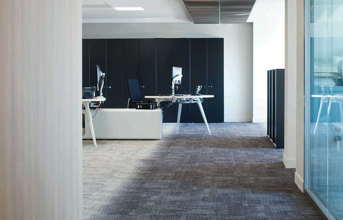 Grey Blue Wall Dissident