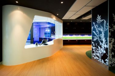 The Importance of Healthy and Healing Surfaces