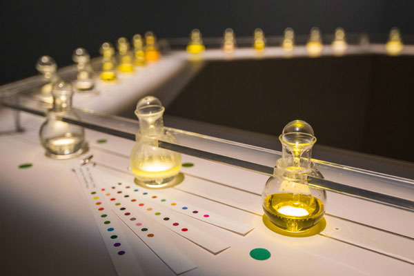 Art that Engages All 9 of Your Senses