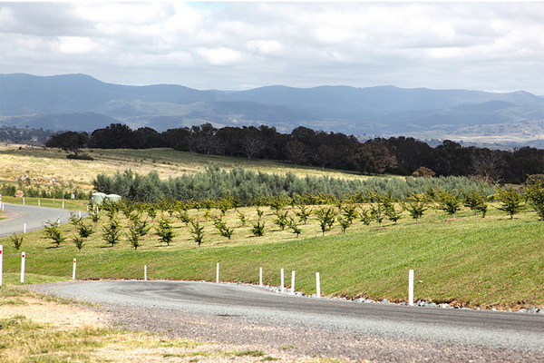 National Arboretum Canberra