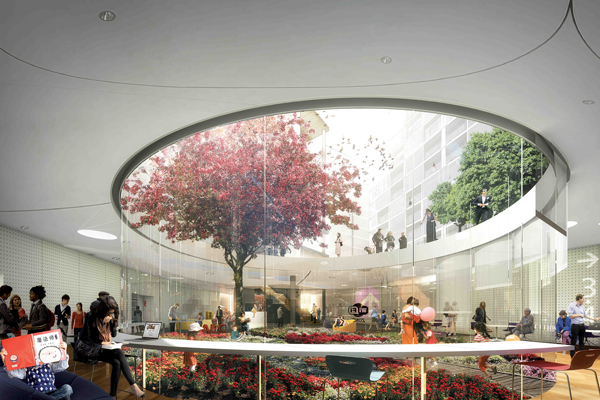 Green Square Competition Winner Announced