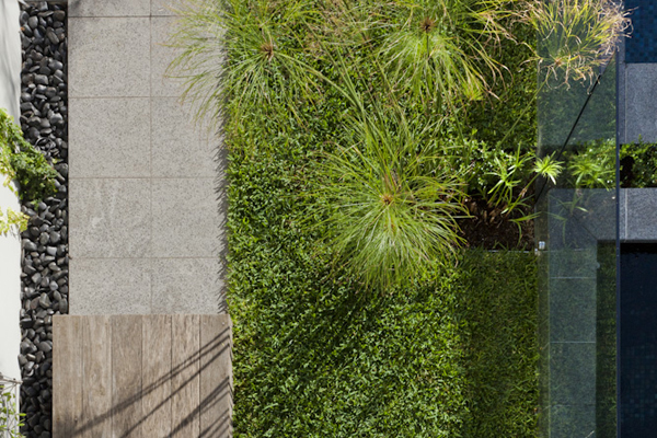pepo_garden_body_3_new