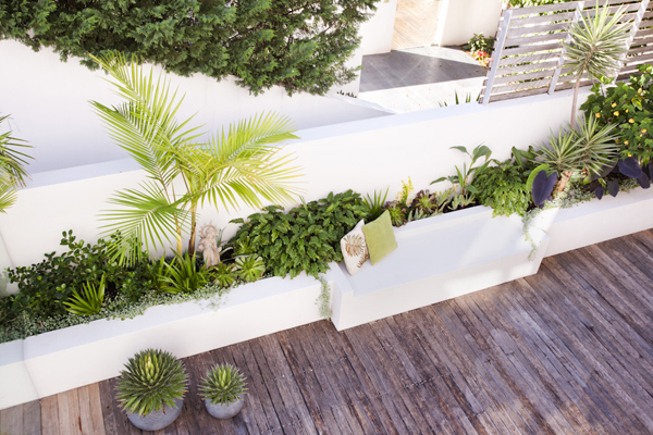 pepo_garden_body_4_new