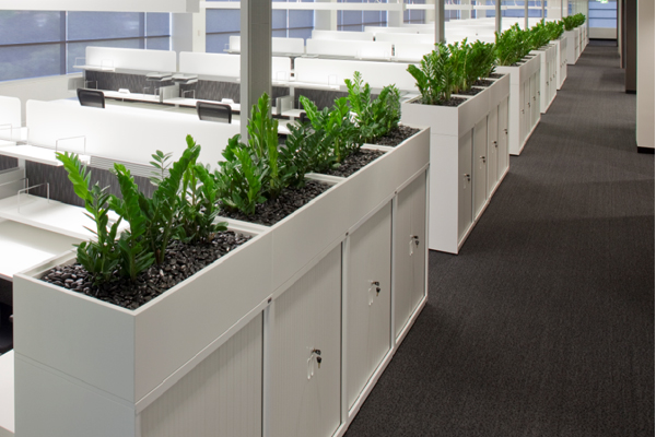 CSM Oxy Planter Boxes