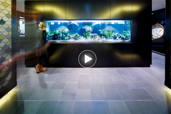 CINE: MLC & NAB BY WOODS BAGOT