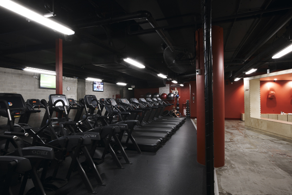 snap fitness sydney gym interior design amber road