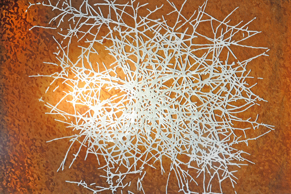 SPINIFEX TSAR Trubridge