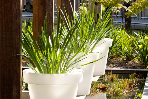 bloom_pots