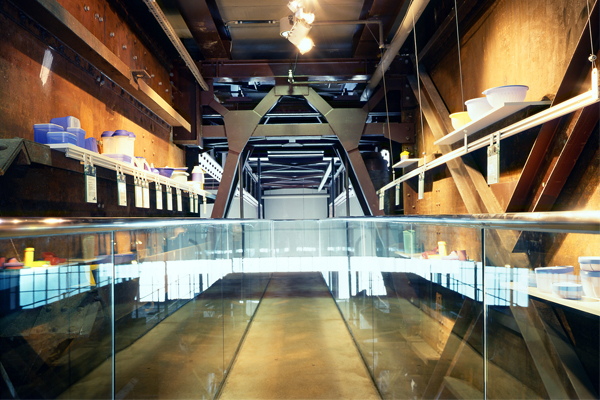 red_dot_design_museum_singapore