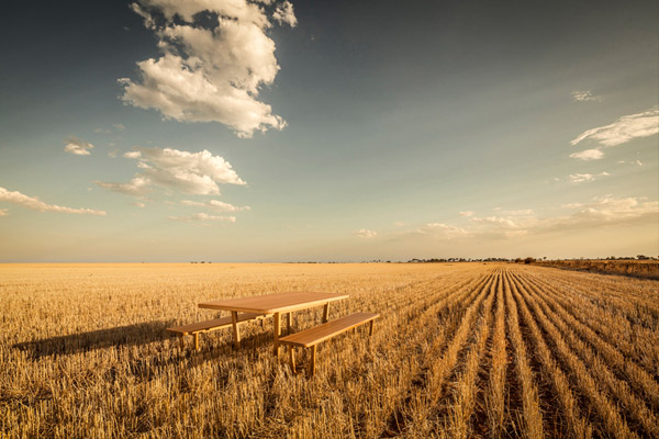 4.Didier---TERRA-FIRMA-table-and-benches-in-field