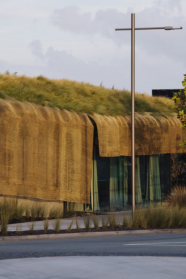 53b4f917c07a80a3430000bb_te-kaitaka-the-cloak-fearon-hay-architects_fh-cloak-3-121