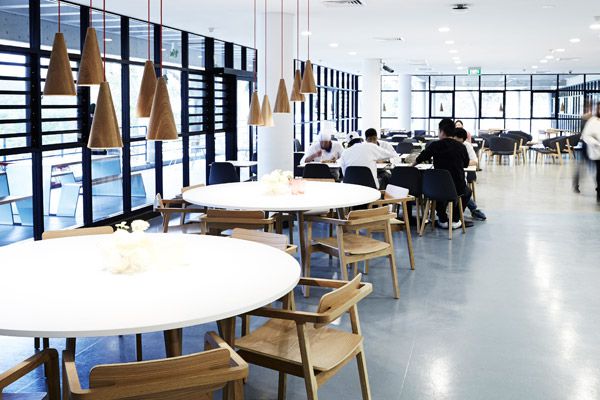 Ryde-Canteen-23