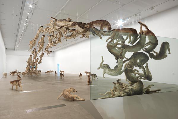 CaiGuo-Qiang_HeadOn_2006_2_Image-courtesy-QAGOMA