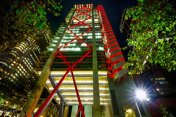Light Culture blends sustainability and beauty