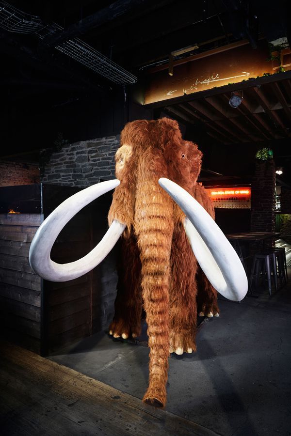 Derlot-Woolly-Mammoth-201