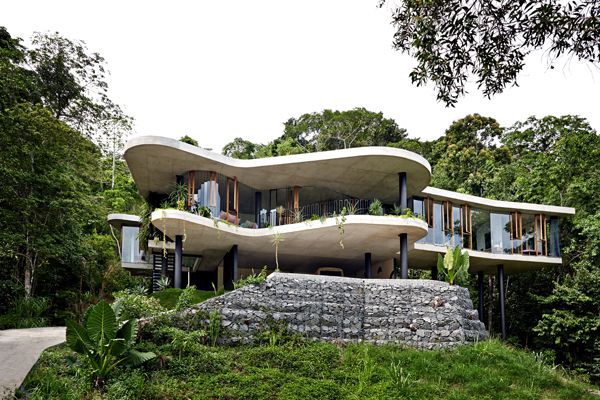 Planchonella05