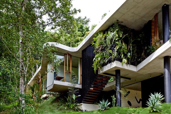 Planchonella08