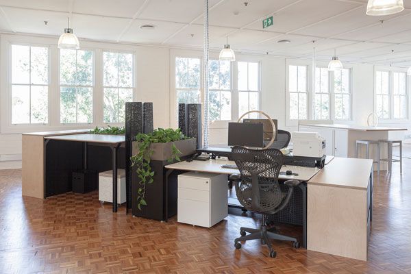 Discover health and productivity at Planex