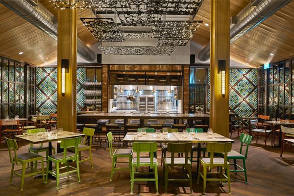 greymatters pushes into Asia with exciting new projects