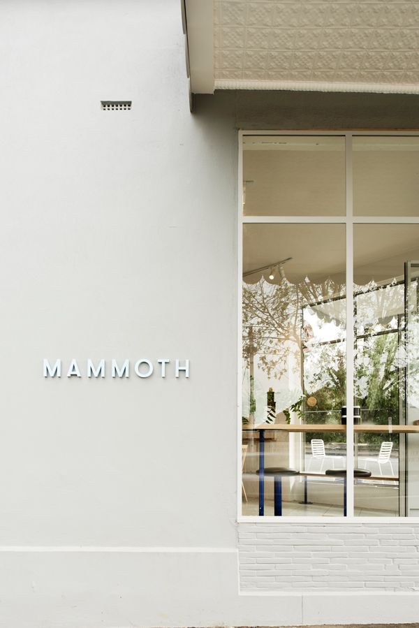 Techne_Mammoth0475_Full