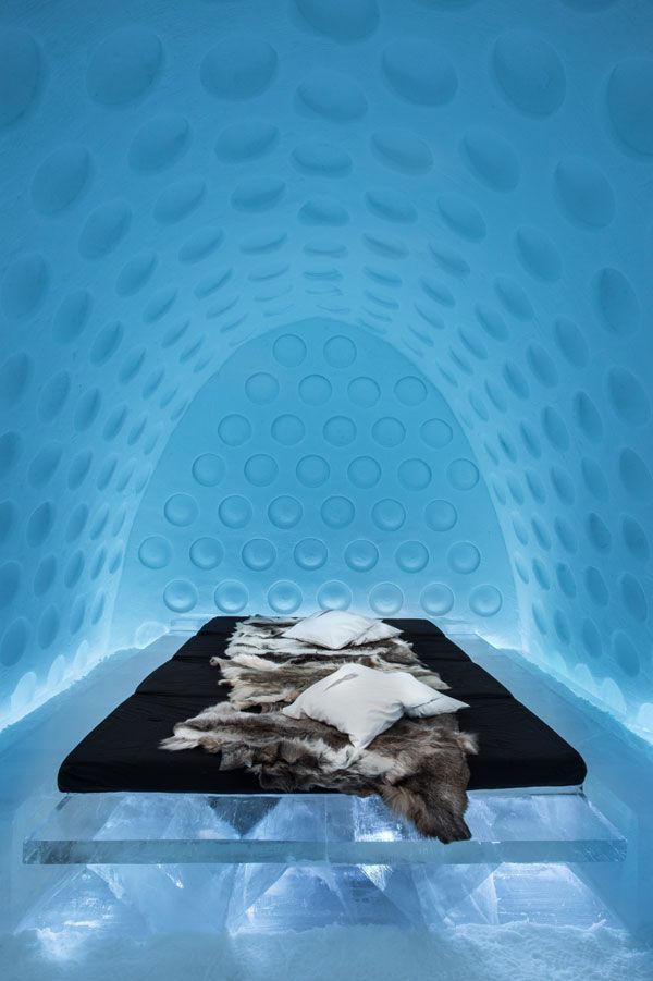 small_Under_the_Arctic_Skin_Rob_Harding__Timsam_Harding_-Photo-_Asaf_Kliger
