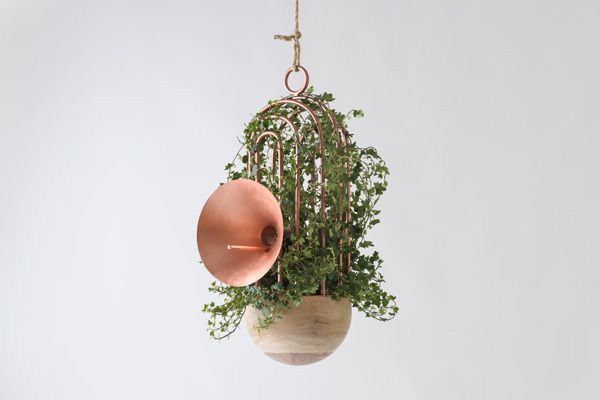 The Orator Brings Birdsong to the Urban Landscape