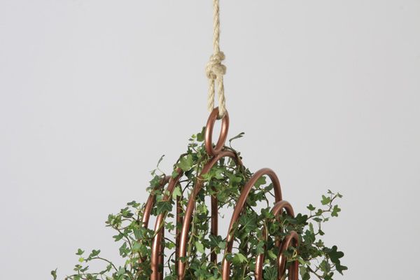 Orator_HangingBasket_IndesignLive
