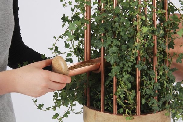 Orator_HangingBasket_IndesignLive