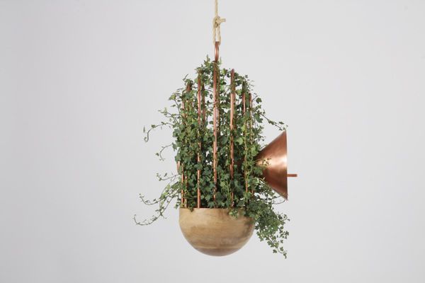Orator_HangingBasket_IndesignLive