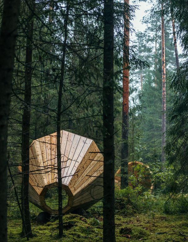 forest_installation_indesignlive