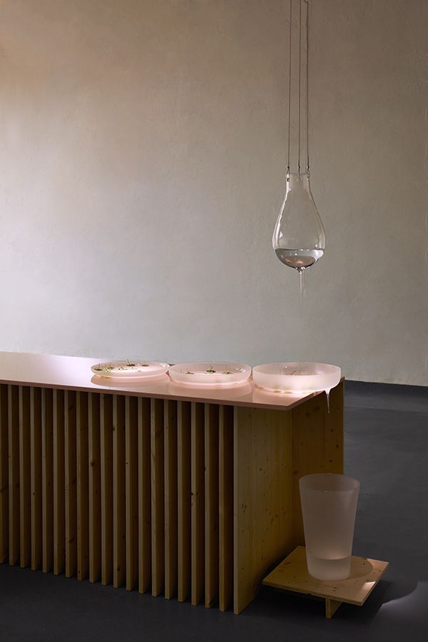 Lexus Salone del Mobile | Indesign Live