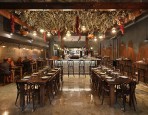Studio Y | IndesignLive