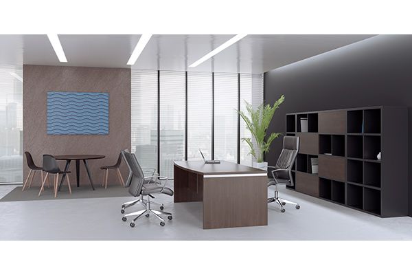 29602398_unity-executive-office