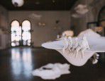 Venice Architecture Biennale | IndesignLive