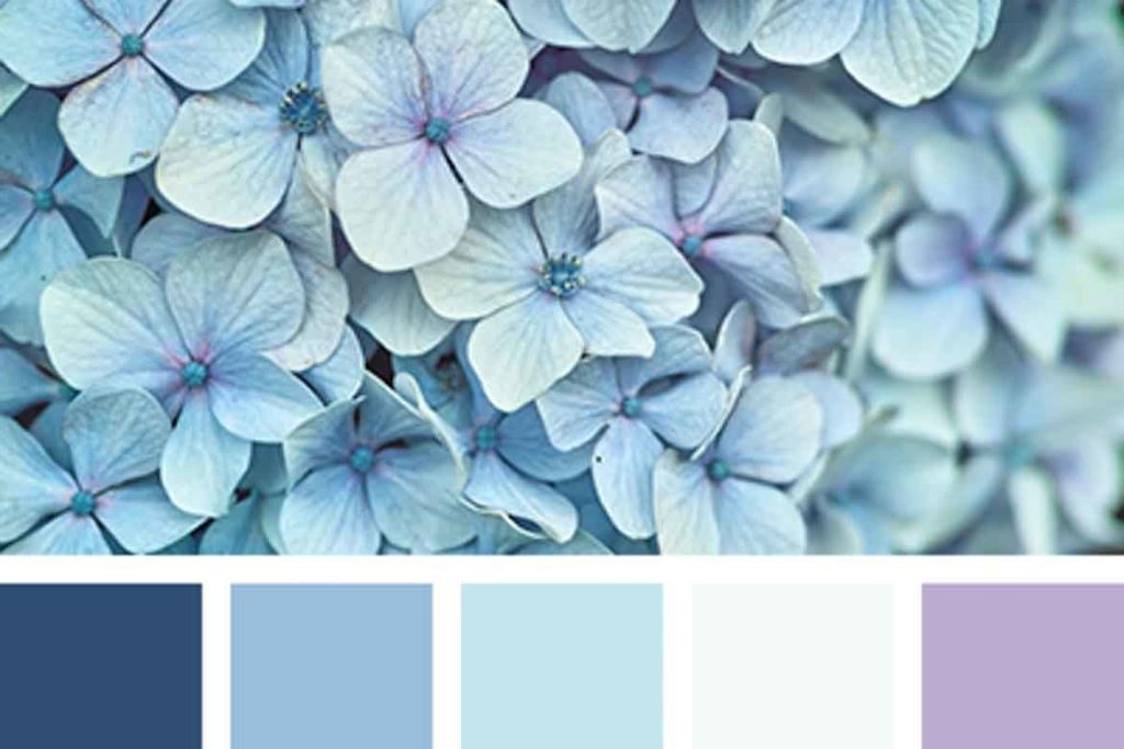 light Blue to White Color Palette