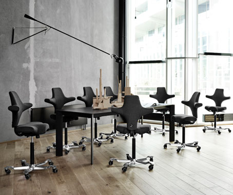 Ergozones: A New Ergonomic Experience
