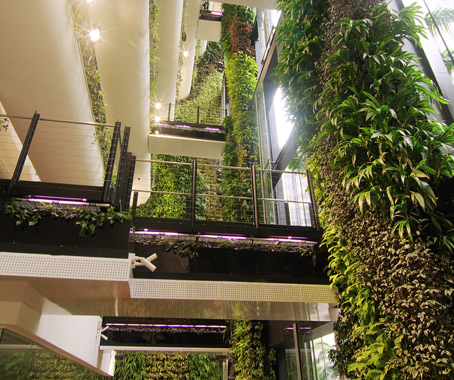 A Garden Most Unexpected