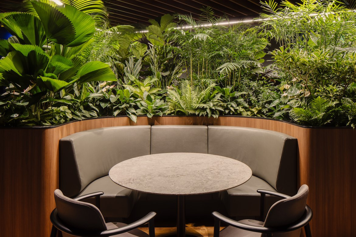 Desks and greenery in the Citi Wealth Hub