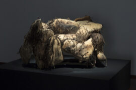“A journey into a whole new material world”: Plant Life at the NGV
