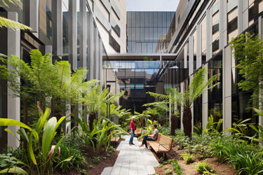 Bendigo Hospital by Bates Smart and Silver Thomas Hanley. Photo by Peter Clarke.