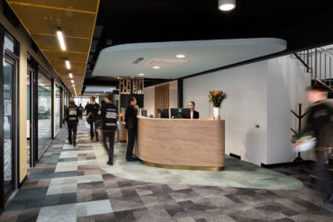 Beyond Chroma Collection