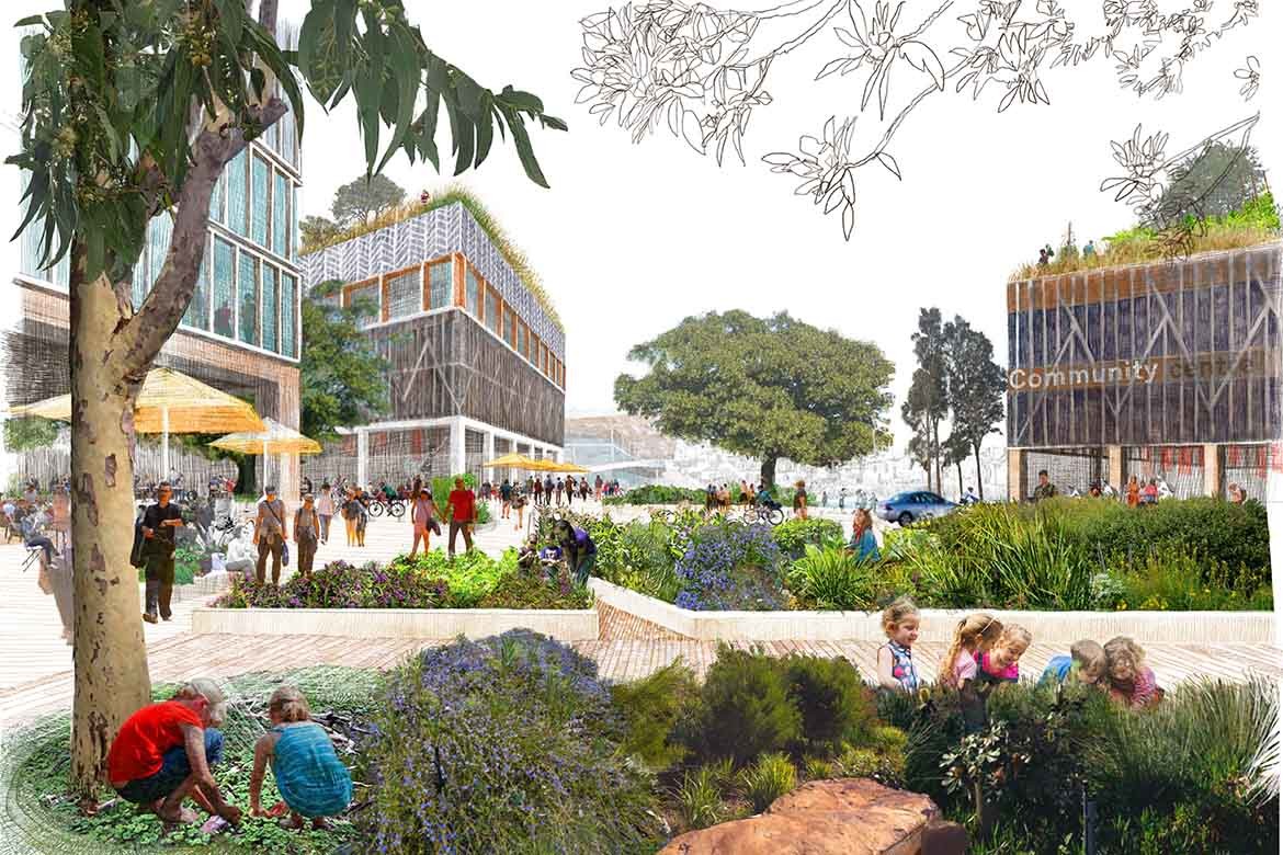 fjmt and Bangawarra collaborate for NSW’s Blackwattle Bay
