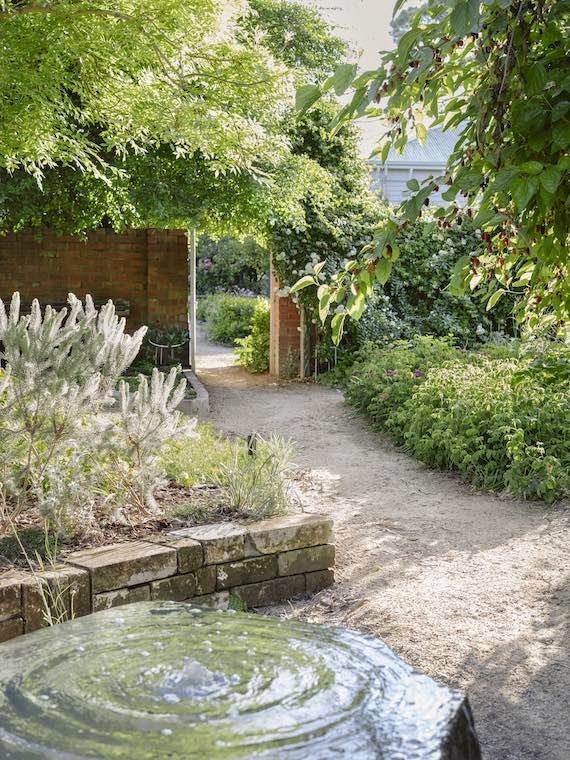 A small bubbling pond next to plants in the healing garden